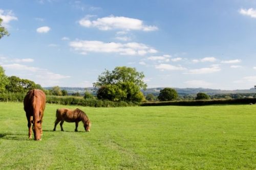 The Place To Stay, boutique guest house offering bed and breakfast accommodation in Trudoxhill, Frome, Somerset